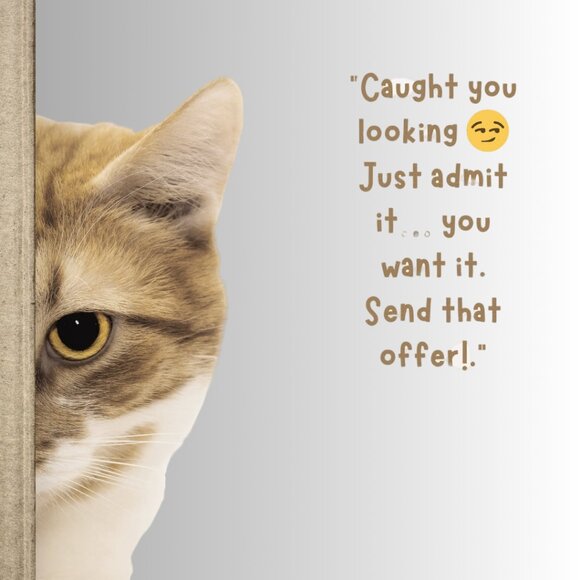 SEND OFFERS: Caught you looking - Picture 1 of 1